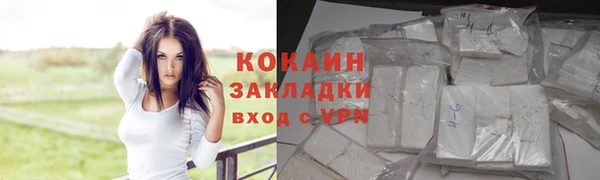 индика Белокуриха