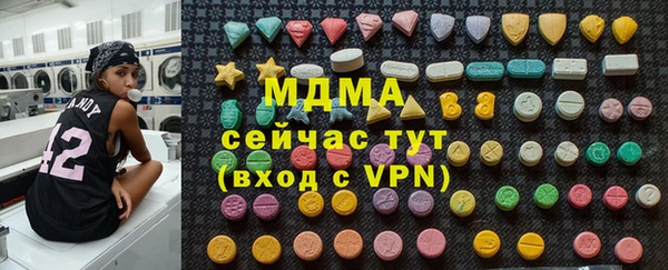 индика Белокуриха