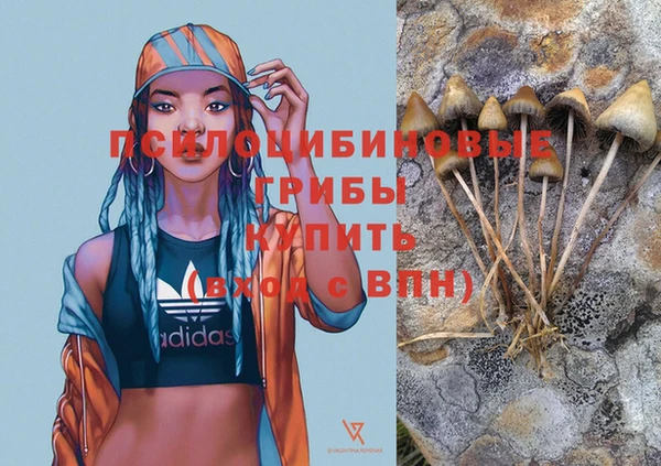альфа пвп Беломорск