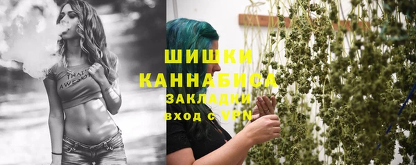 индика Белокуриха