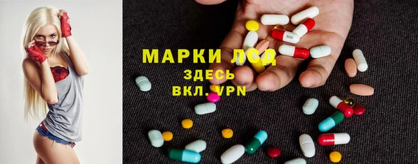 индика Белокуриха