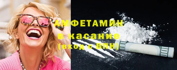 индика Белокуриха
