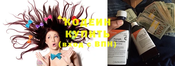 индика Белокуриха